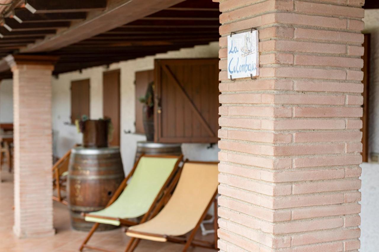 Agriturismo La Rombaia Castiglione della Pescaia Dış mekan fotoğraf